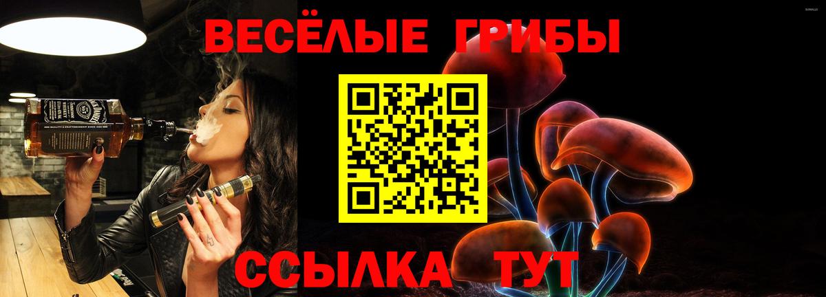 Псилоцибиновые грибы GOLDEN TEACHER  Вход с VPN  Медногорск 